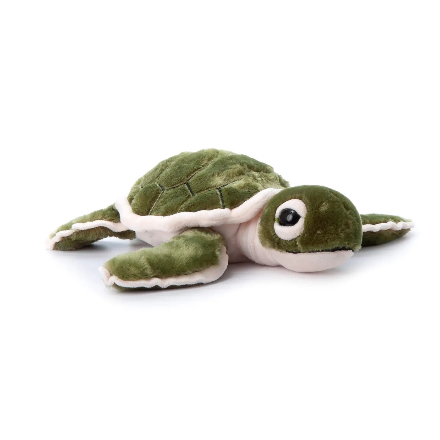 Sea Turtle