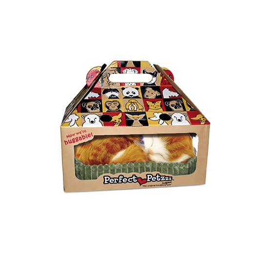 PPetz Orange Tabby Kitten