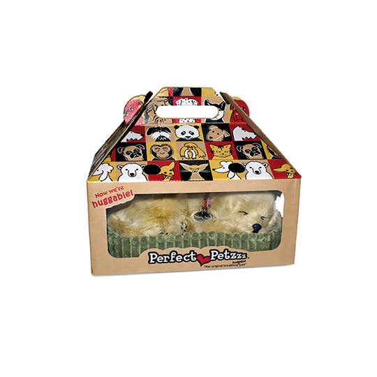 PPetz Golden Retriever