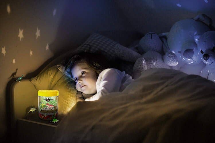 Light-Up DinoTerrarium Kit