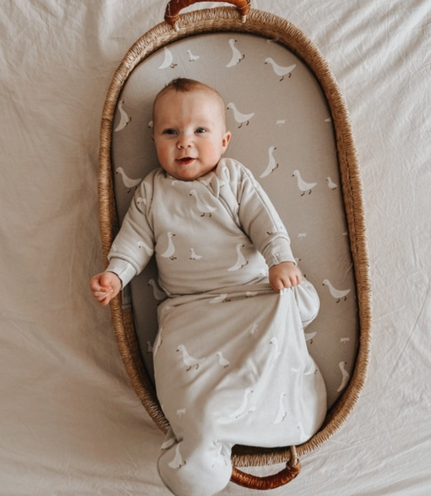 Transitional Swaddle Bag