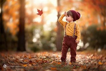 Fall Collection
