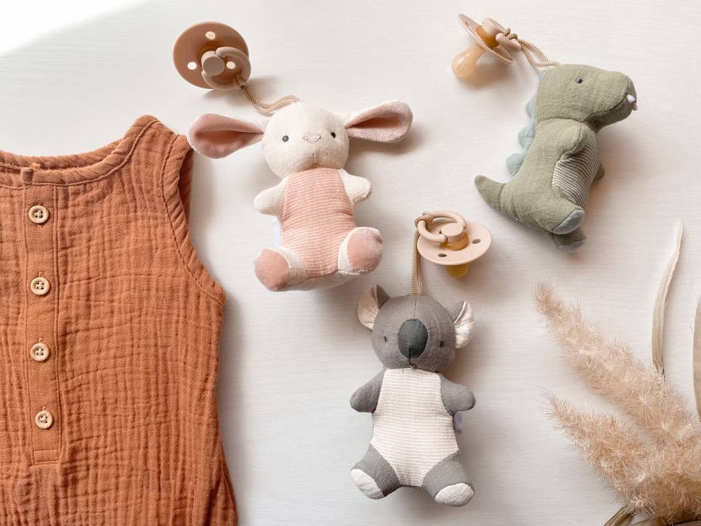 Bitzy Pal Pacifier & Plush
