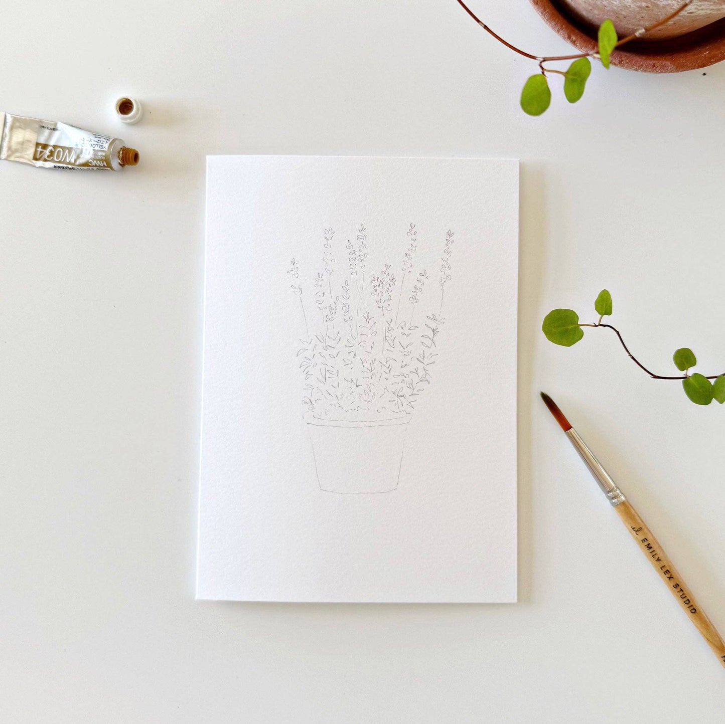Plants paintable notecards