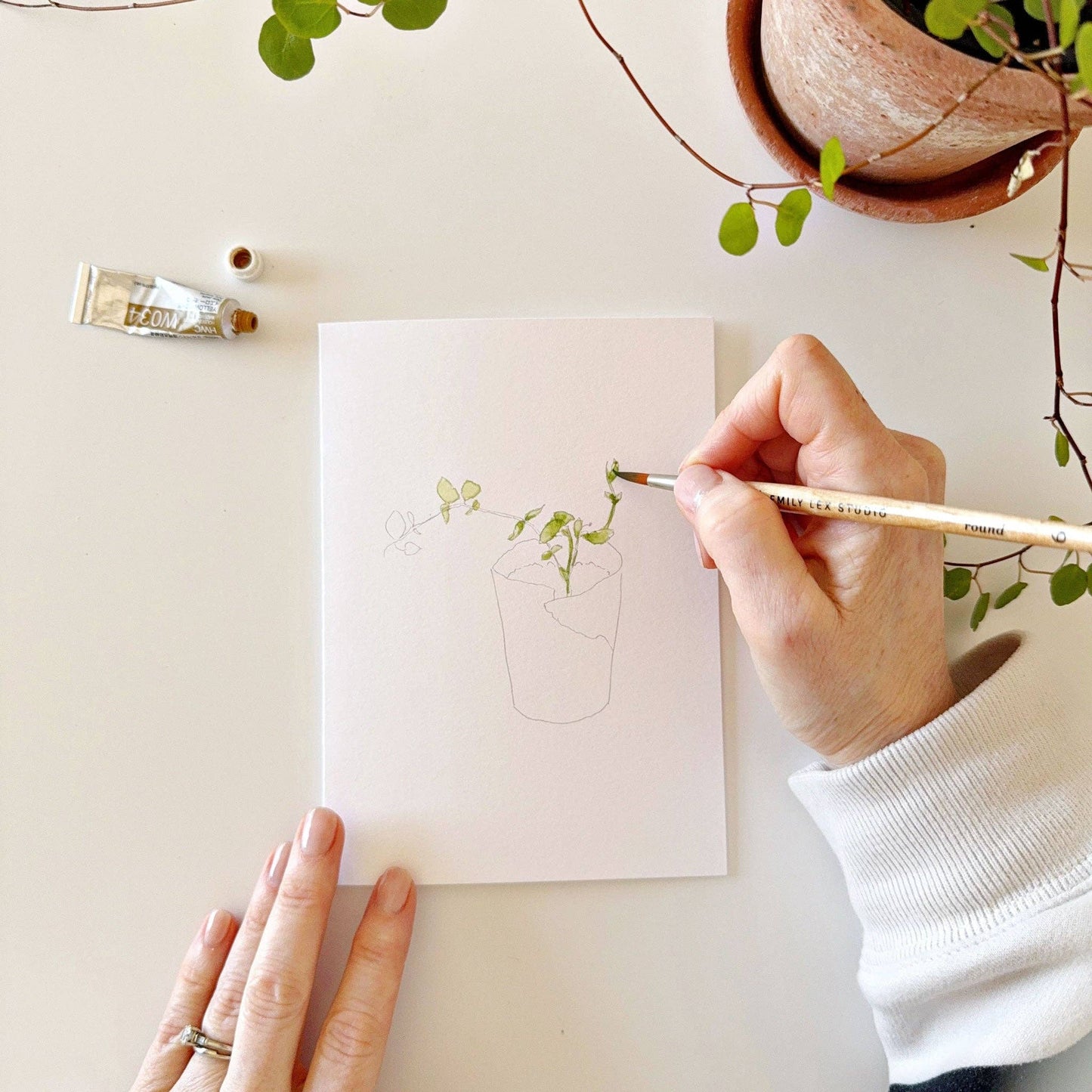 Plants paintable notecards