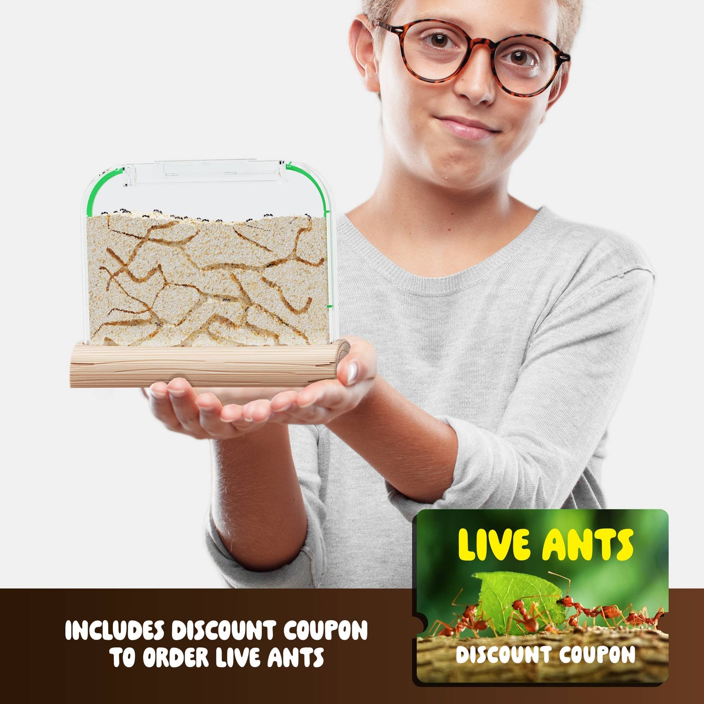 Ant Farm Kit for Kids