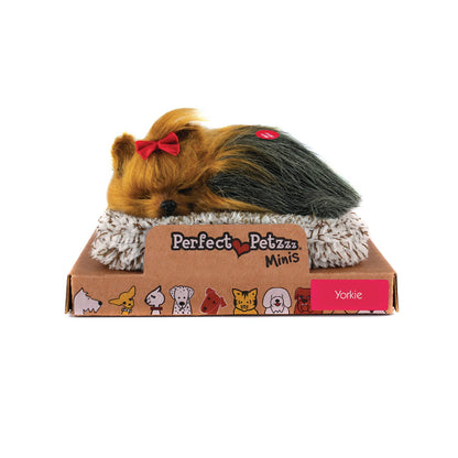 Mini Yorkie