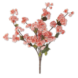 25" Coral Peach Blossom