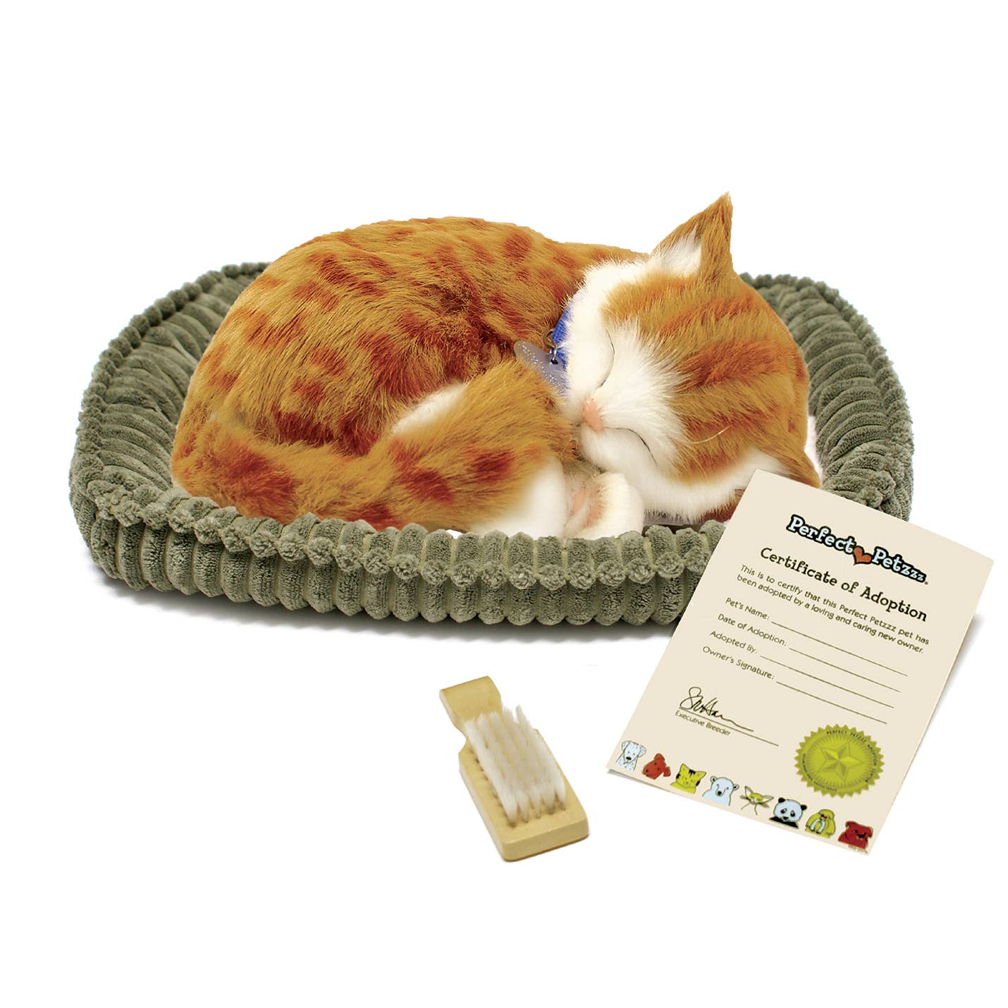 PPetz Orange Tabby Kitten