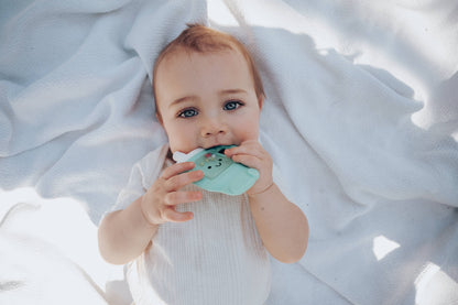 Sweetie Shake Plus -Teething + Rattle Toy