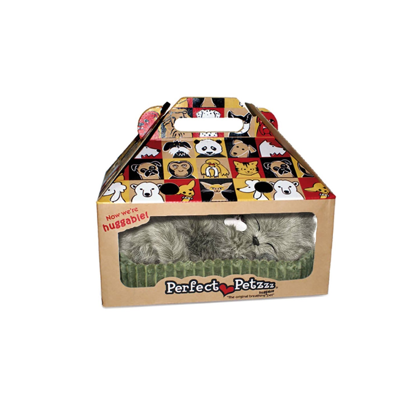 Gray Shorthair Kitten