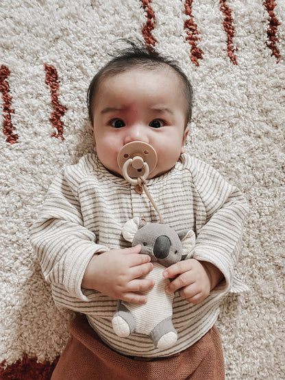 Bitzy Pal Pacifier & Plush