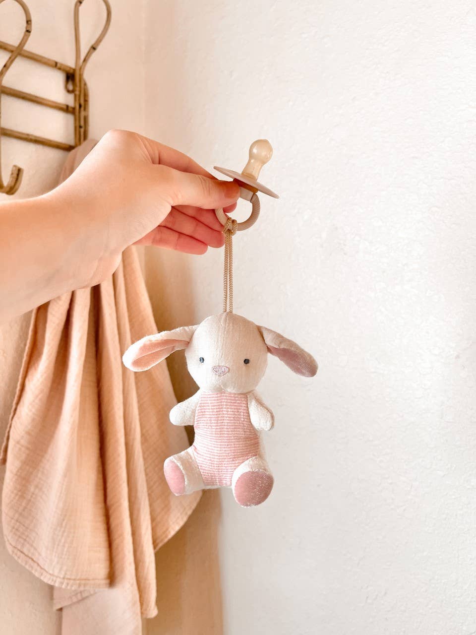 Bitzy Pal Pacifier & Plush