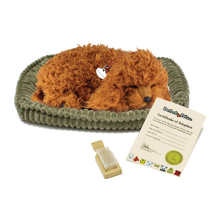 PPetz Toy Poodle