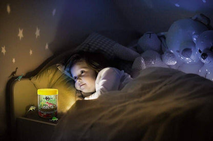 Light-Up DinoTerrarium Kit