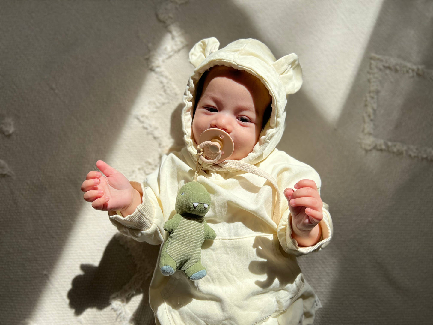 Bitzy Pal Pacifier & Plush