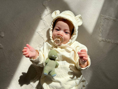 Bitzy Pal Pacifier & Plush