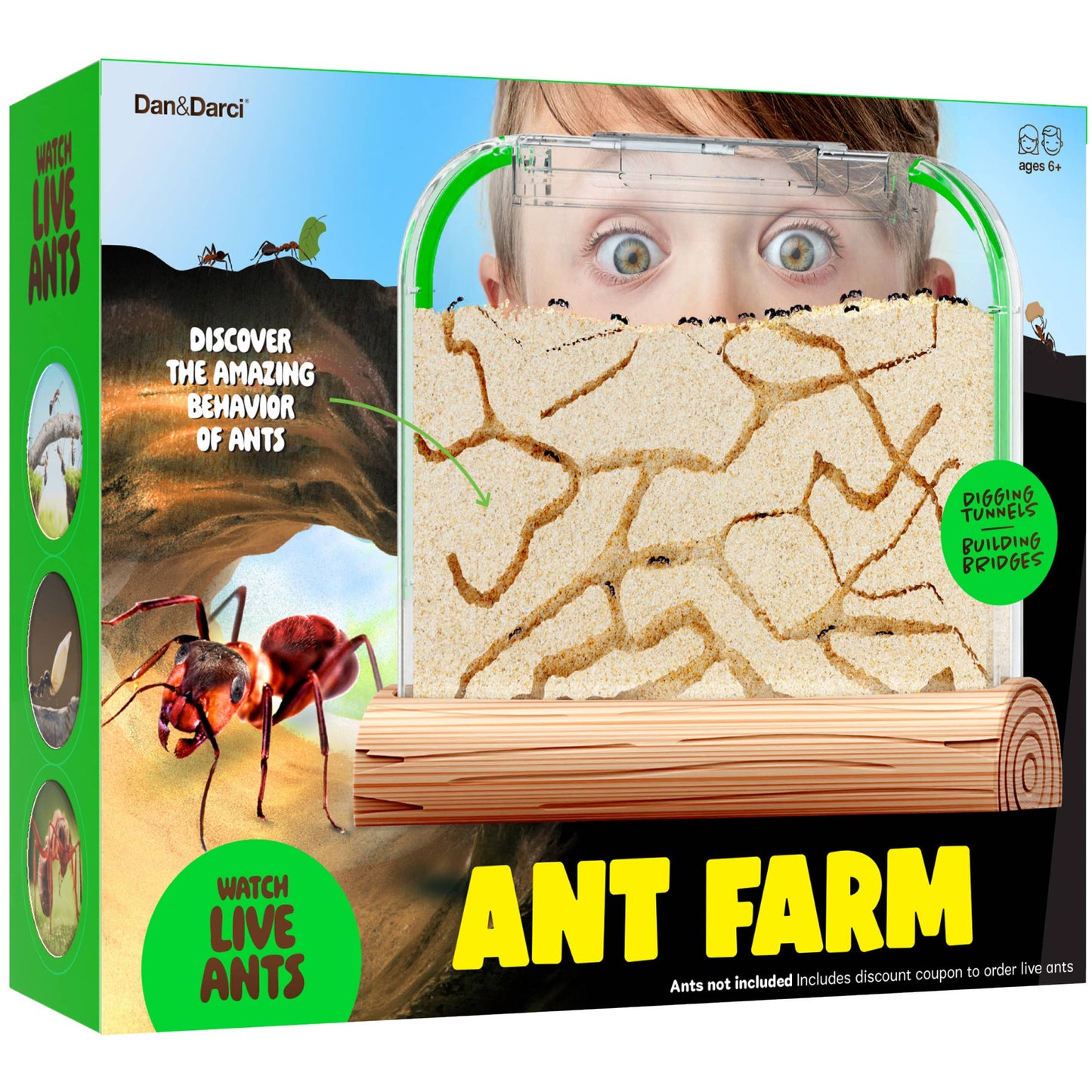 Ant Farm Kit for Kids