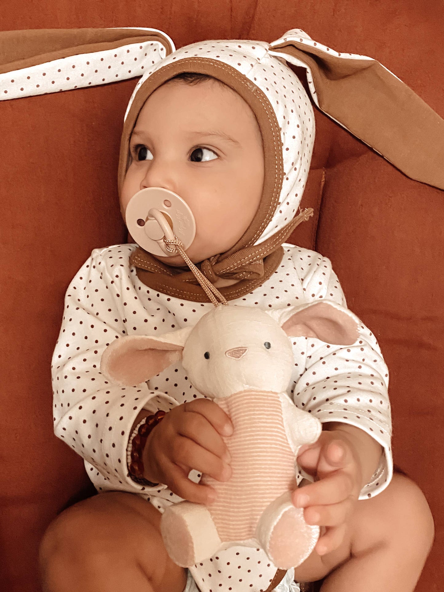 Bitzy Pal Pacifier & Plush