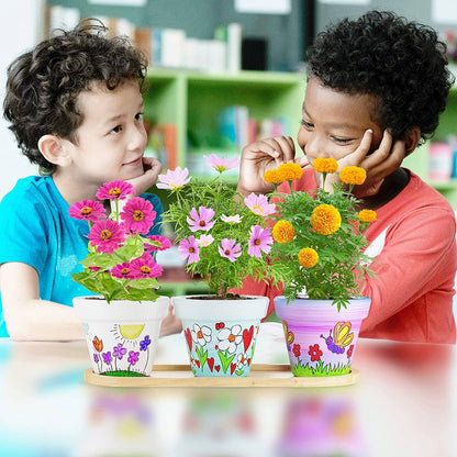 Cast, Paint & Plant Kit