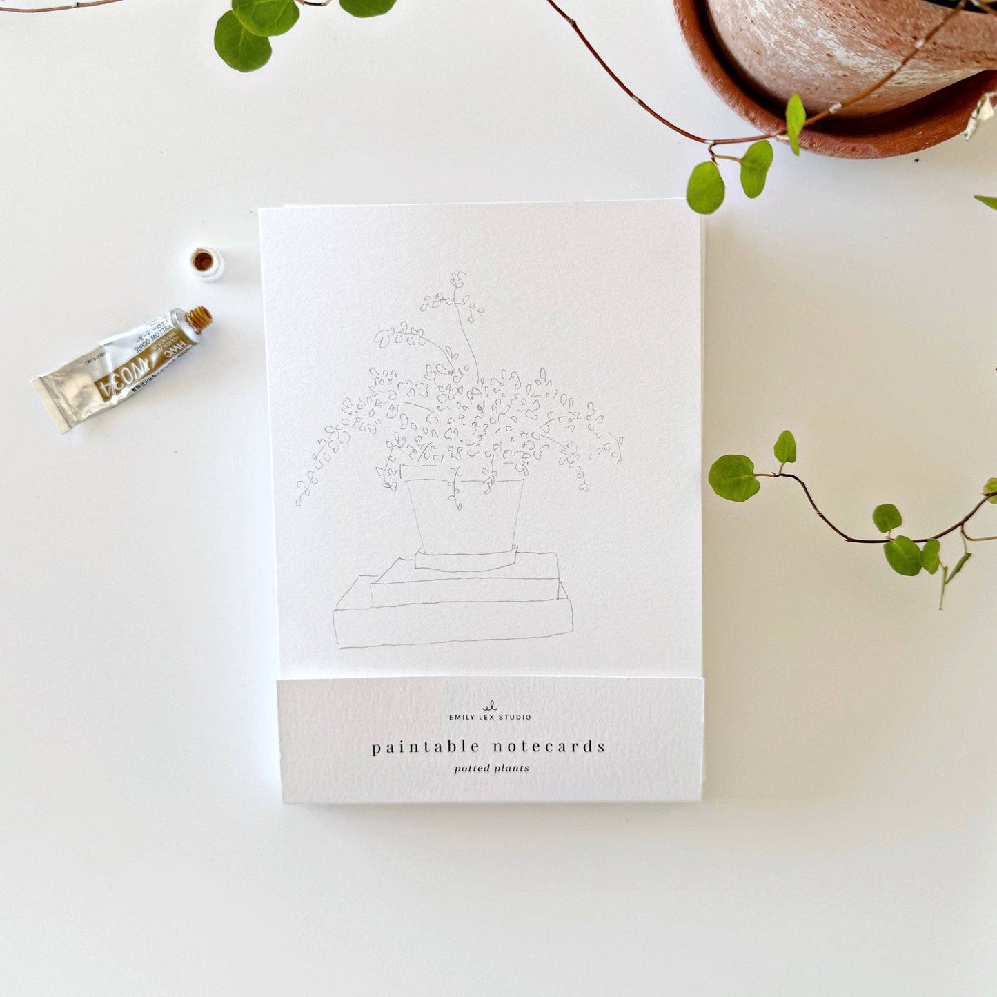 Plants paintable notecards