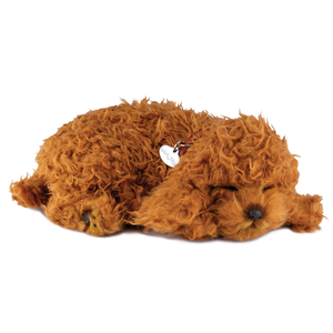 PPetz Toy Poodle