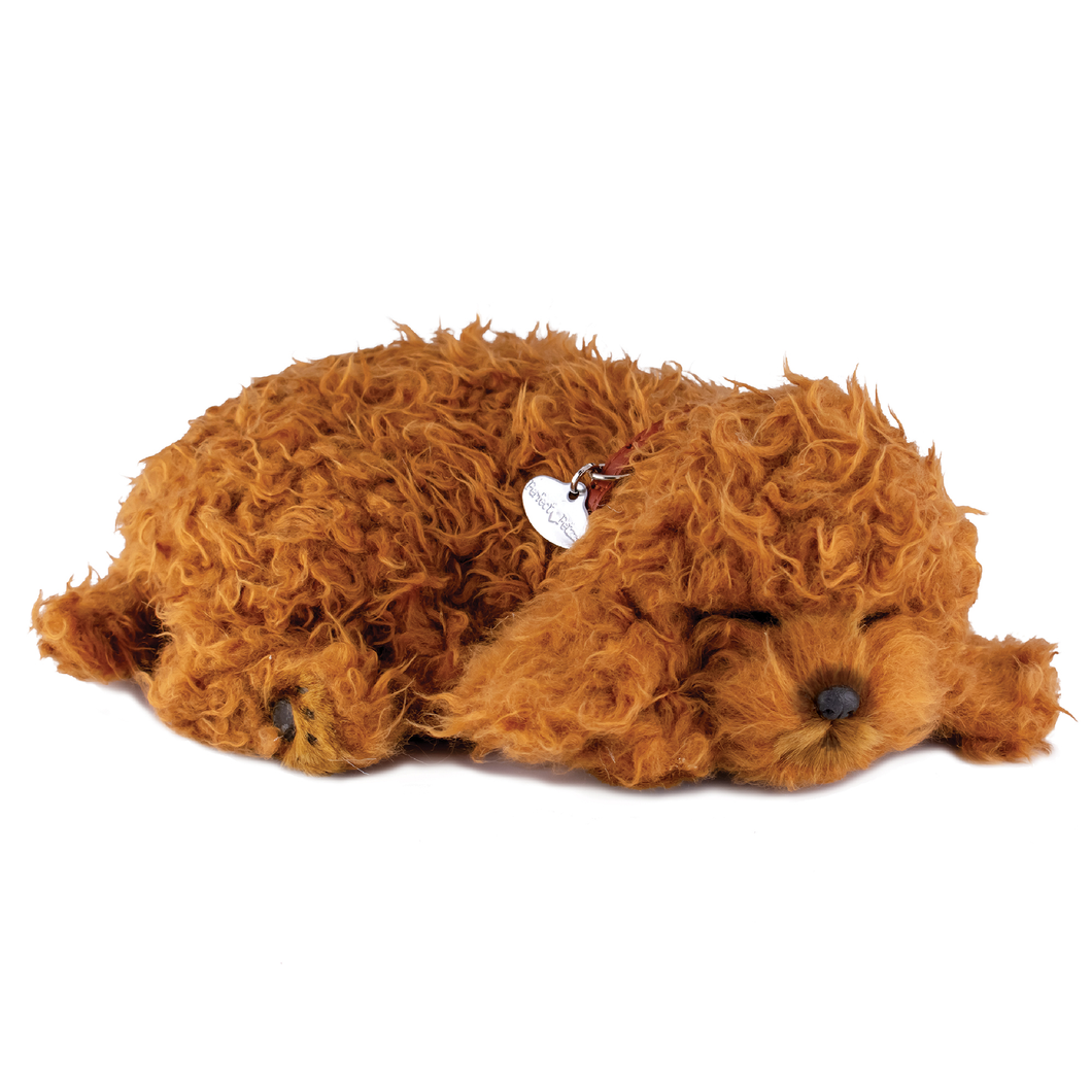 PPetz Toy Poodle