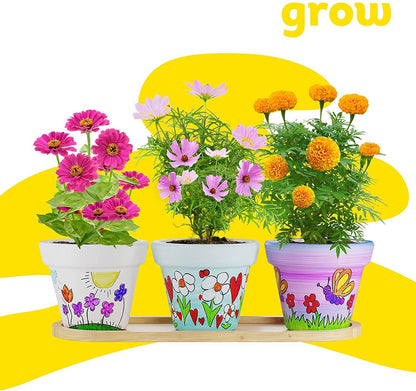 Cast, Paint & Plant Kit