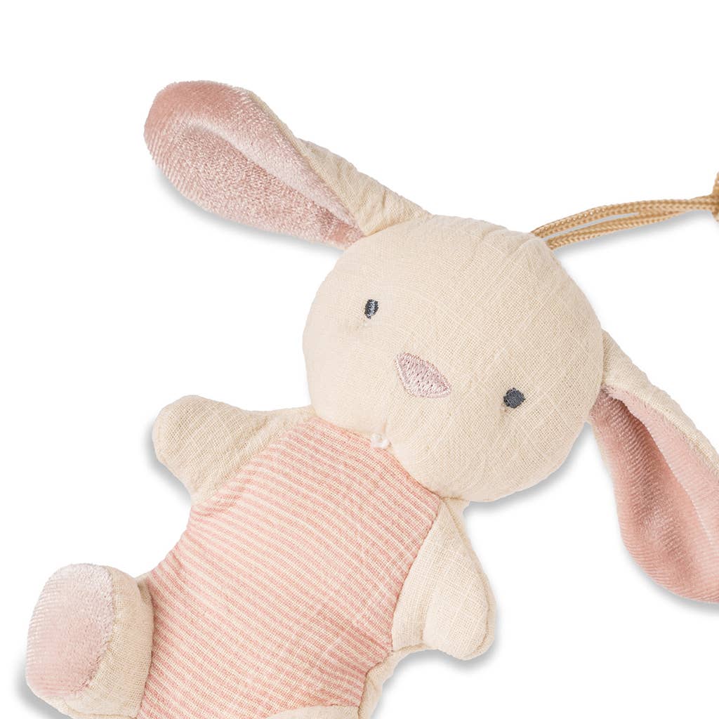 Bitzy Pal Pacifier & Plush