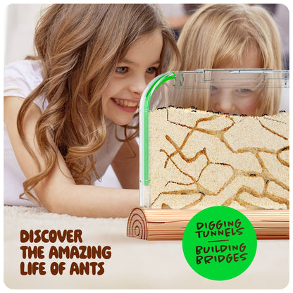 Ant Farm Kit for Kids