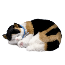 Load image into Gallery viewer, PPetz Calico Kitten
