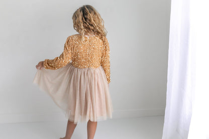 Sequin Champagne Fancy Tulle Dress