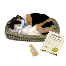 Load image into Gallery viewer, PPetz Calico Kitten
