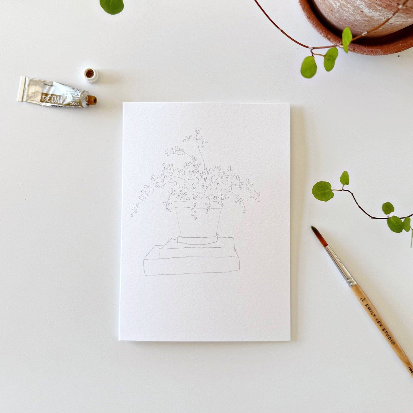 Plants paintable notecards