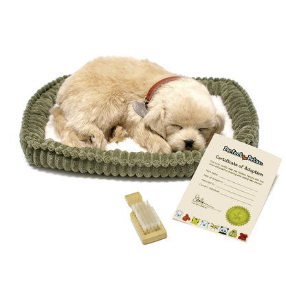 PPetz Golden Retriever