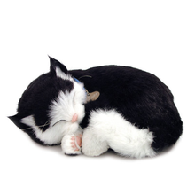Load image into Gallery viewer, PPetz B&amp;W Shorthair Kitten
