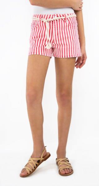 Mid Rise Stripe Shorts